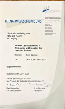 Viszerale Osteopathie Modul 4