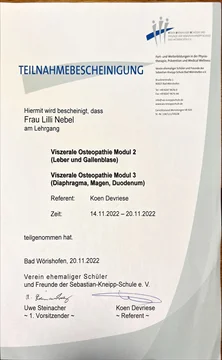 Viszerale Osteopathie Modul 2 & 3